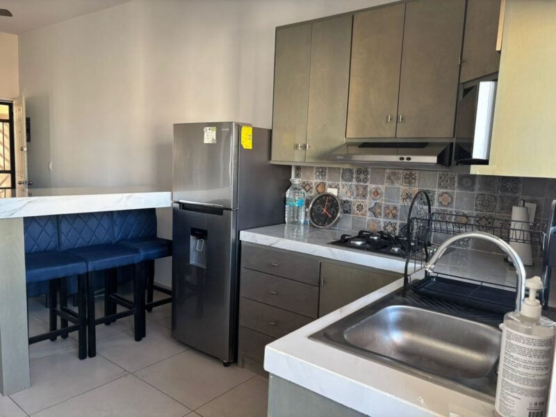 Altamira Plus - Departamento en Renta