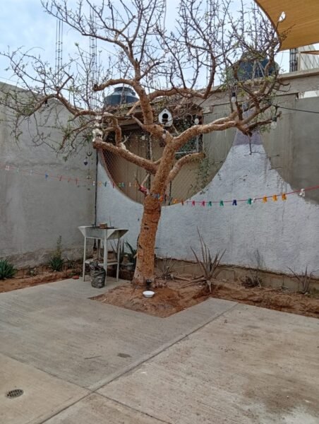 Propiedad en Venta en Colonia Mezquite | Cabo San Lucas, BCS