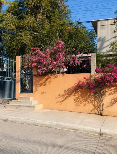 Propiedad de Inversión en Venta | Colonia 4 de Marzo | Cabo San Lucas, BCS